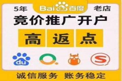 案例剖析：SEM网络推广助力品牌快速崛起